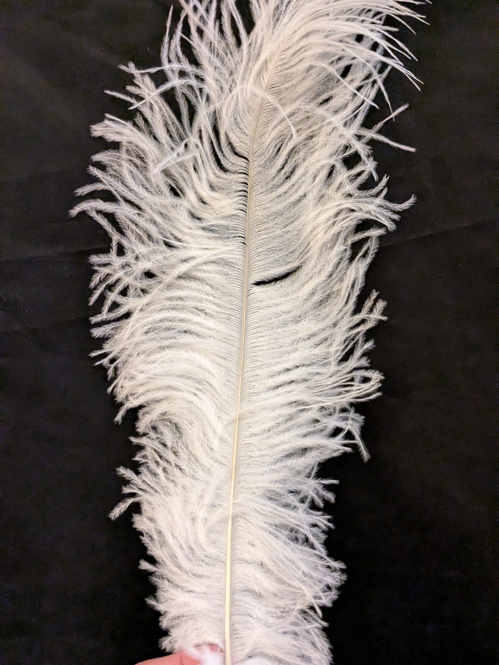Large Ostrich Feathers 16-18 Inches, Decorative Accent 1 Dozen